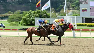 Donde corre la 'torre' hay un enemigo: El gran dato que regresa a La Rinconada Donde corre la 'torre' hay un enemigo: El gran dato que regresa a La Rinconada