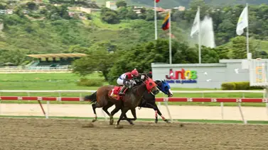 ¡Directo a la foto! Reaparece el purasangre que siempre rinde al máximo tras un descanso en La Rinconada ¡Directo a la foto! Reaparece el purasangre que siempre rinde al máximo tras un descanso en La Rinconada