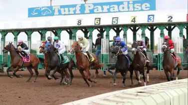 Las montas de Karlo López que puede darle el liderato en Turf Paradise Las montas de Karlo López que puede darle el liderato en Turf Paradise