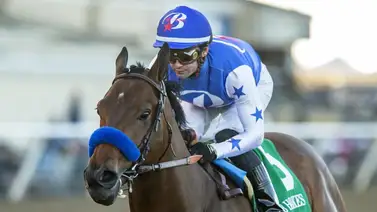 ¡Llegaron los del Tío Bob!: Nysos y Nevada Beach pisan suelo árabe en pos de la Saudi Cup ¡Llegaron los del Tío Bob!: Nysos y Nevada Beach pisan suelo árabe en pos de la Saudi Cup