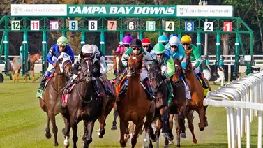 Pronósticos Tampa Bay Downs: picks gratis y el dato clave para el miércoles 4 de febrero Pronósticos Tampa Bay Downs: picks gratis y el dato clave para el miércoles 4 de febrero