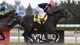 Aqueduct bajo la lupa: Conoce los primeros favoritos del Morning Line para la jornada del Withers Stakes