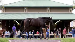 Ocala Breeders’ Sale publica el catálogo de dosañeros para la subasta de marzo