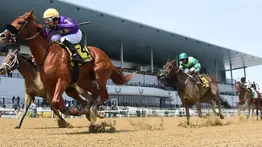 Pronósticos Aqueduct: picks gratis y el dato clave para el miércoles 4 de febrero