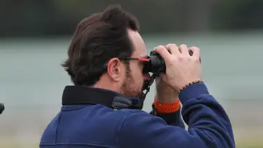 Mucha expectativa: El reporte de pista que pone al importado Gran Yaco como el caballo a ganar este domingo Mucha expectativa: El reporte de pista que pone al importado Gran Yaco como el caballo a ganar este domingo