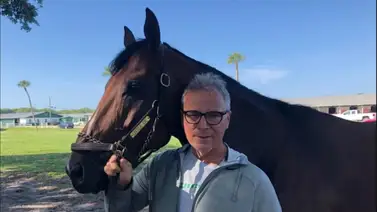 A defender el liderato: Estos son los presentados de la semana de Juan Carlos Ávila en Tampa Bay Downs A defender el liderato: Estos son los presentados de la semana de Juan Carlos Ávila en Tampa Bay Downs
