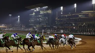 De 60 a 78 mil dólares: Los impactantes precios de las entradas para ver la Saudi Cup De 60 a 78 mil dólares: Los impactantes precios de las entradas para ver la Saudi Cup