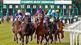  Las montas importantes del "Jockey del Mes" para el jueves y viernes en Tampa Bay Downs