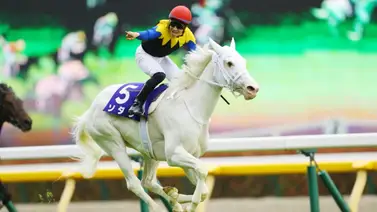 Genética de oro en Japón: La primera potra de Equinox y Sodashi rompe las redes sociales Genética de oro en Japón: La primera potra de Equinox y Sodashi rompe las redes sociales