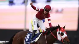 El Rey ha vuelto: Forever Young aterrizó en Riad para defender su corona en la Saudi Cup