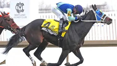 ¡Triunfo estelar! El venezolano José Gregorio Torrealba conquista el Spectacular BID Stakes en Laurel Park ¡Triunfo estelar! El venezolano José Gregorio Torrealba conquista el Spectacular BID Stakes en Laurel Park