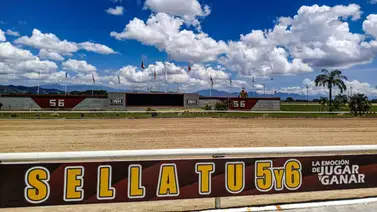 Estos son los retirados de la Reunión N°3 en Valencia 7-2-2026 Estos son los retirados de la Reunión N°3 en Valencia 7-2-2026