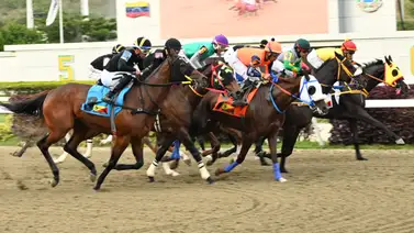 Antes de sellar tu cuadro: Conoce el ajuste de la gran opción de Gaceta Hípica que asegurará la victoria en el 5y6 Antes de sellar tu cuadro: Conoce el ajuste de la gran opción de Gaceta Hípica que asegurará la victoria en el 5y6