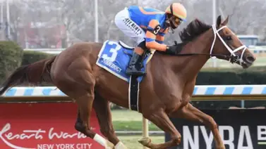 Kentucky Oaks: Zany entrenada por Todd Pletcher se juega el invicto en el Suncoast Stakes de $150,000 Kentucky Oaks: Zany entrenada por Todd Pletcher se juega el invicto en el Suncoast Stakes de $150,000