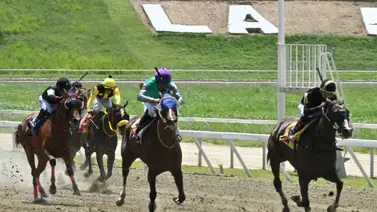 ¡Atención La Rinconada! La yunta más esperada de la temporada que va por el triunfo el domingo en la R06 ¡Atención La Rinconada! La yunta más esperada de la temporada que va por el triunfo el domingo en la R06