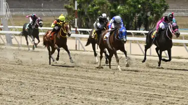 Ajuste cómodo y parejo: El reporte de pista que pone en alerta a El Gran Barlovento en La Rinconada Ajuste cómodo y parejo: El reporte de pista que pone en alerta a El Gran Barlovento en La Rinconada