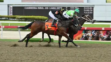 Como ajustó esta yegua esta lista para llevarse la Condicional Especial en La Rinconada Como ajustó esta yegua esta lista para llevarse la Condicional Especial en La Rinconada