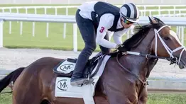 El aprendiz sensación de Gulfstream Park: las mejores montas de Yolber Torres para el viernes y sábado