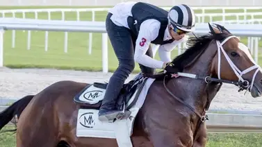 El aprendiz sensación de Gulfstream Park: las mejores montas de Yolber Torres para el viernes y sábado El aprendiz sensación de Gulfstream Park: las mejores montas de Yolber Torres para el viernes y sábado
