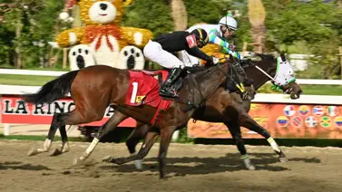 ¿Quieres los acumulados del 5y6? Lee el ajuste de una sorpresa de Gaceta Hípica antes de sellar tu cuadro ¿Quieres los acumulados del 5y6? Lee el ajuste de una sorpresa de Gaceta Hípica antes de sellar tu cuadro