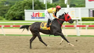 Los números no mienten: La estadística demoledora que pone a Eterna Amanda a valer en la Condicional Especial Los números no mienten: La estadística demoledora que pone a Eterna Amanda a valer en la Condicional Especial