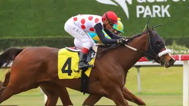 ¡Golpe a la cátedra! Daily Double paga más de $250 este jueves en Gulfstream Park ¡Golpe a la cátedra! Daily Double paga más de $250 este jueves en Gulfstream Park