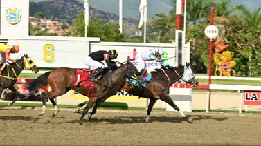 ¿Coach Sessa o Star Plus? Existe una tercera opción en los acumulados y aquí te decimos por qué ¿Coach Sessa o Star Plus? Existe una tercera opción en los acumulados y aquí te decimos por qué