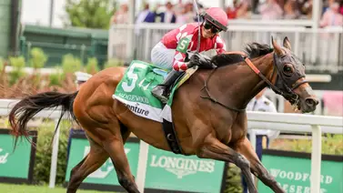 ¡Está de regreso! La campeona tresañera de 2025 enfrentará a seis oponentes en el Bayakoa Stakes (G3) ¡Está de regreso! La campeona tresañera de 2025 enfrentará a seis oponentes en el Bayakoa Stakes (G3)