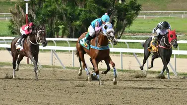 Sin miedo al éxito: El ejemplar que toda Venezuela tiene de "robo" en el 5y6 dominical Sin miedo al éxito: El ejemplar que toda Venezuela tiene de "robo" en el 5y6 dominical