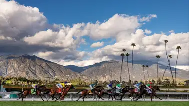 ¡Agarra dato! Himika y Mohaven: un match en los 100 mil dólares del Sweet Life Stakes ¡Agarra dato! Himika y Mohaven: un match en los 100 mil dólares del Sweet Life Stakes