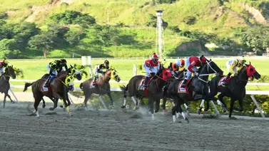 La Rinconada: Datos de Última Hora para el 08-02-2026 La Rinconada: Datos de Última Hora para el 08-02-2026