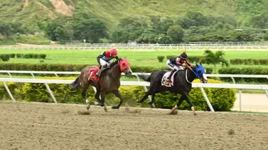 Abre el ojo: El Caballo que ajustó contenido y no esta entre tus marcas para el 5y6 dominical Abre el ojo: El Caballo que ajustó contenido y no esta entre tus marcas para el 5y6 dominical