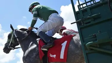 Pronósticos Gulfstream Park: picks gratis y el dato clave para el sábado 7 de febrero Pronósticos Gulfstream Park: picks gratis y el dato clave para el sábado 7 de febrero