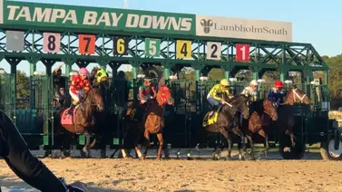 ¡Orgullo Guajiro! Jinete indígena triunfa en Tampa Bay Downs con un ejemplar de Godolphin ¡Orgullo Guajiro! Jinete indígena triunfa en Tampa Bay Downs con un ejemplar de Godolphin