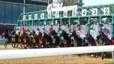 Javier Castellano destaca con doblete de victorias en Oaklawn Park Javier Castellano destaca con doblete de victorias en Oaklawn Park