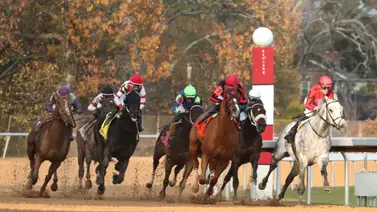 ¡Exacta zuliana de lujo! Javier Castellano y Francisco Arrieta sentencian la quinta del viernes en Oaklawn Park ¡Exacta zuliana de lujo! Javier Castellano y Francisco Arrieta sentencian la quinta del viernes en Oaklawn Park
