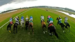 Guía de apuestas para el sábado: El equipo de Meridiano te trae la clave para ganar en las selectivas