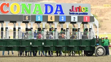 Baja en el óvalo de Coche: Conozca la razón de la ausencia de este jinete profesional Baja en el óvalo de Coche: Conozca la razón de la ausencia de este jinete profesional