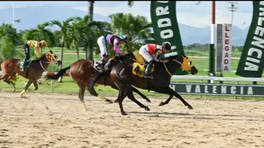 Expectativa total en el Cabriales: El Hipódromo de Valencia define su hoja de ruta para la cuarta jornada Expectativa total en el Cabriales: El Hipódromo de Valencia define su hoja de ruta para la cuarta jornada