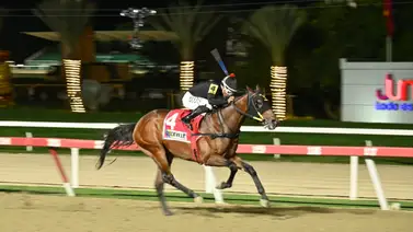 Rockville reaparece para ir por su primer Clásico Hylander (GIII) el domingo en La Rinconada Rockville reaparece para ir por su primer Clásico Hylander (GIII) el domingo en La Rinconada