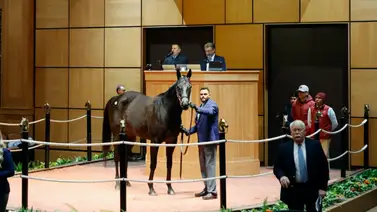 ¡De Kentucky a Japón! Ganadora de Grado 1 vendida por encima del millón de dólares ¡De Kentucky a Japón! Ganadora de Grado 1 vendida por encima del millón de dólares