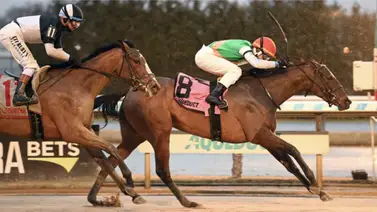 Galinda defenderá el invicto ante cinco rivales en el East View Stakes de 135 mil dólares Galinda defenderá el invicto ante cinco rivales en el East View Stakes de 135 mil dólares