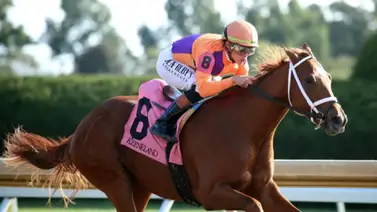 Kentucky Derby: Further Ado, ganador del Kentucky Jockey Club (G2) se prepara para su debut como tresañero Kentucky Derby: Further Ado, ganador del Kentucky Jockey Club (G2) se prepara para su debut como tresañero