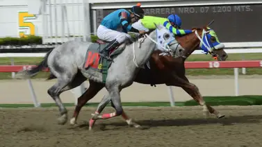 De la fusta internacional al patio local: El cotizado corredor de Santana Jr. busca saldar su deuda en La Rinconada De la fusta internacional al patio local: El cotizado corredor de Santana Jr. busca saldar su deuda en La Rinconada