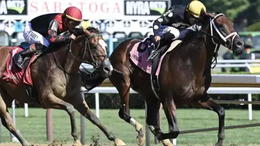 Arctic Beast múltiple ganador de selectivas irá por el Damon Runyon Stakes de $135 mil en Aqueduct Arctic Beast múltiple ganador de selectivas irá por el Damon Runyon Stakes de $135 mil en Aqueduct