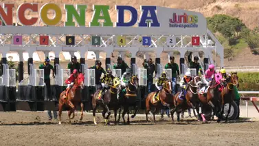 "Segula C": Un duelo de 1.800 metros donde el récord de entrenadores está en juego en La Rinconada "Segula C": Un duelo de 1.800 metros donde el récord de entrenadores está en juego en La Rinconada