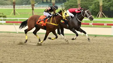 Regreso peligroso: El ejemplar que reaparece con cuatro kilos de alivio y amenaza con la victoria de punta a punta en la R08 Regreso peligroso: El ejemplar que reaparece con cuatro kilos de alivio y amenaza con la victoria de punta a punta en la R08