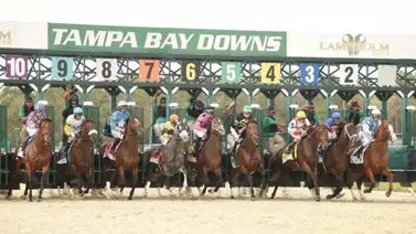 Tampa Bay Downs inicia semana hípica el miércoles con ocho carreras Tampa Bay Downs inicia semana hípica el miércoles con ocho carreras