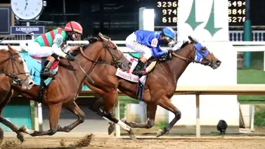 Camino al Kentucky Oaks: Bella Ballerina se juego el invicto ante siete rivales en el Rachel Alexandra Stakes G2 de $300,000 Camino al Kentucky Oaks: Bella Ballerina se juego el invicto ante siete rivales en el Rachel Alexandra Stakes G2 de $300,000