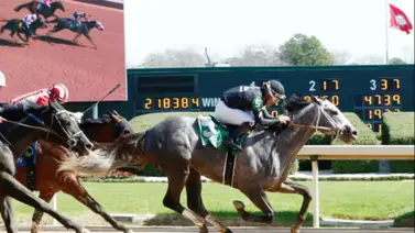 El American Beauty Stakes de $150.000 engalana el inicio de semana en Oaklawn Park El American Beauty Stakes de $150.000 engalana el inicio de semana en Oaklawn Park